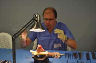 Agustín Lllamas Podólogo en "The Podiatry Institute"